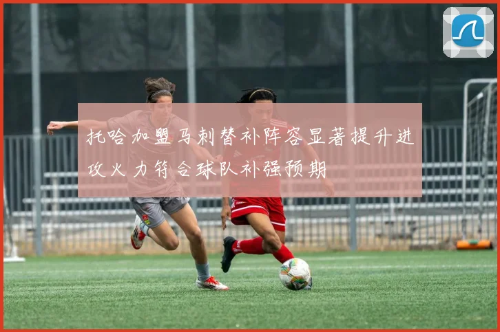 托哈加盟马刺替补阵容显著提升进攻火力符合球队补强预期