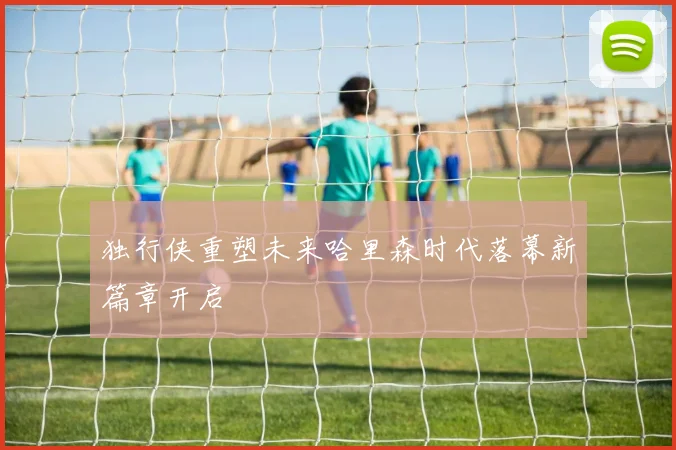 独行侠重塑未来哈里森时代落幕新篇章开启
