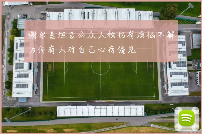 谢尔基坦言公众人物也有烦恼不解为何有人对自己心存偏见